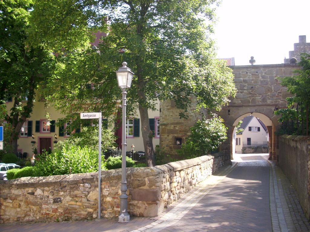 Hotel Am Schloss Alzey Bagian luar foto